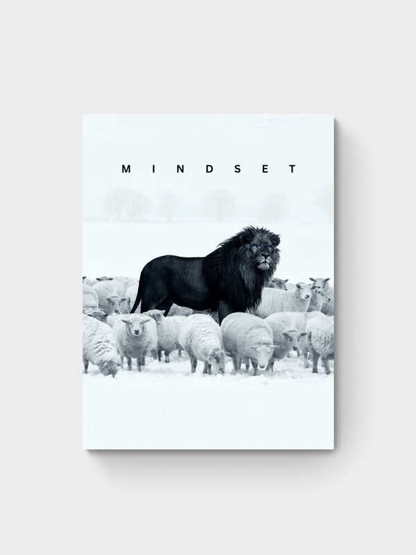 MINDSET - II