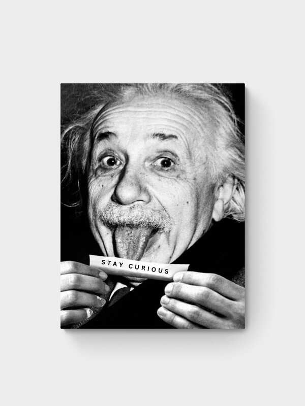 ALBERT EINSTEIN - STAY CURIOUS