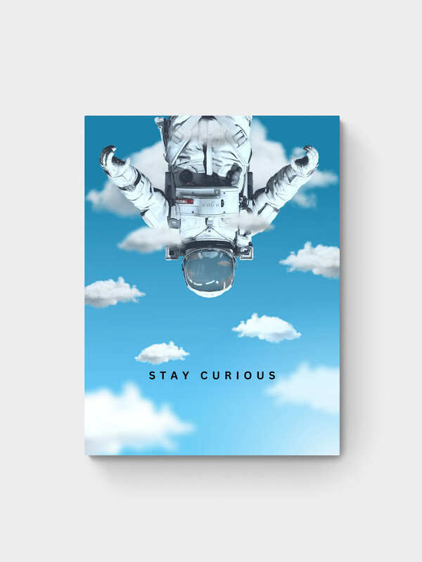 STAY - CURIOUS