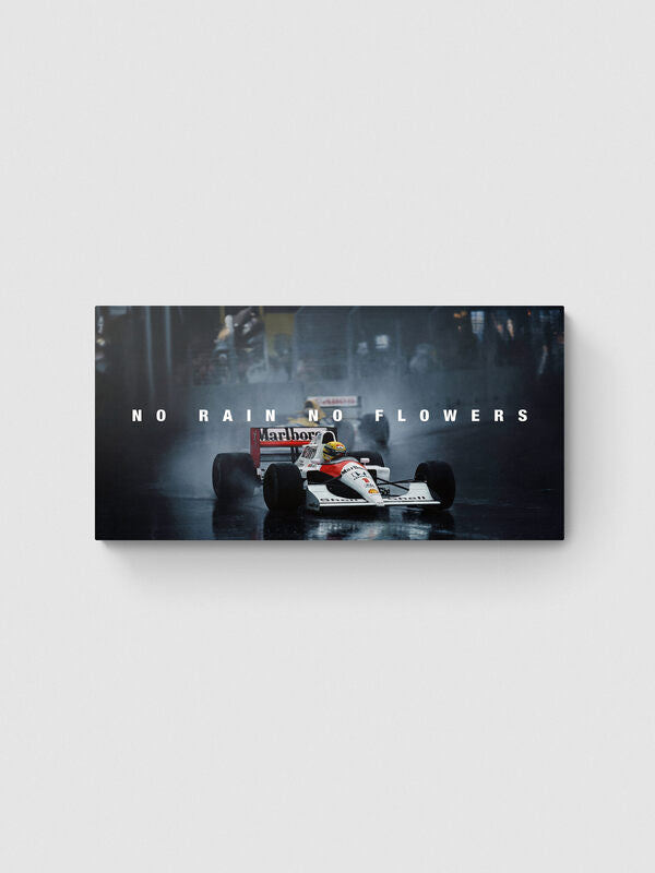 AYRTON SENNA - NO RAIN NO FLOWERS